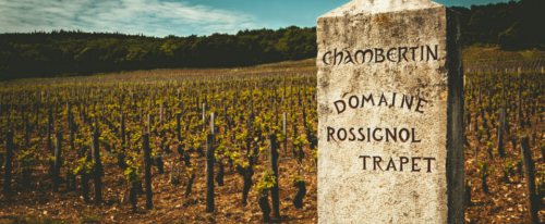 Domaine Nicolas Rossignol