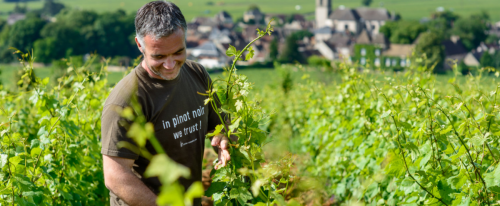 Domaine Nicolas Rossignol