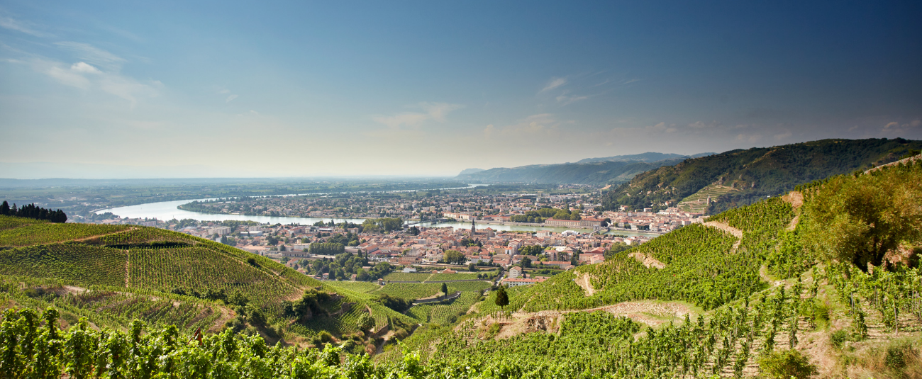 Maison & Domaines Les Alexandrins